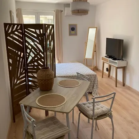 Studio Cours General Leclerc Apartment *